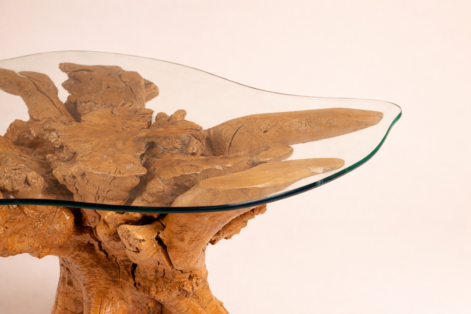 Amazons Root Table