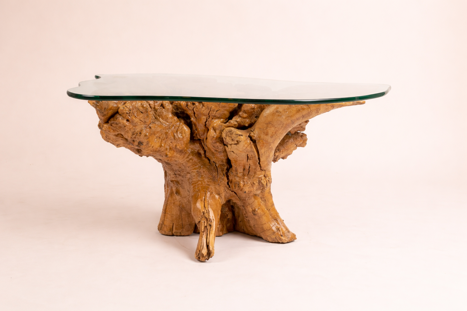Amazons Root Table
