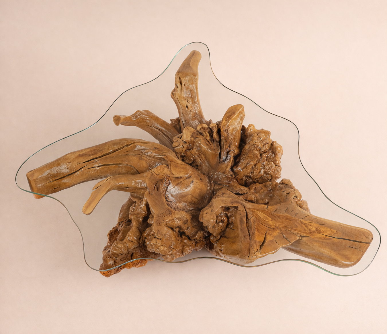 Madagascar Root Table