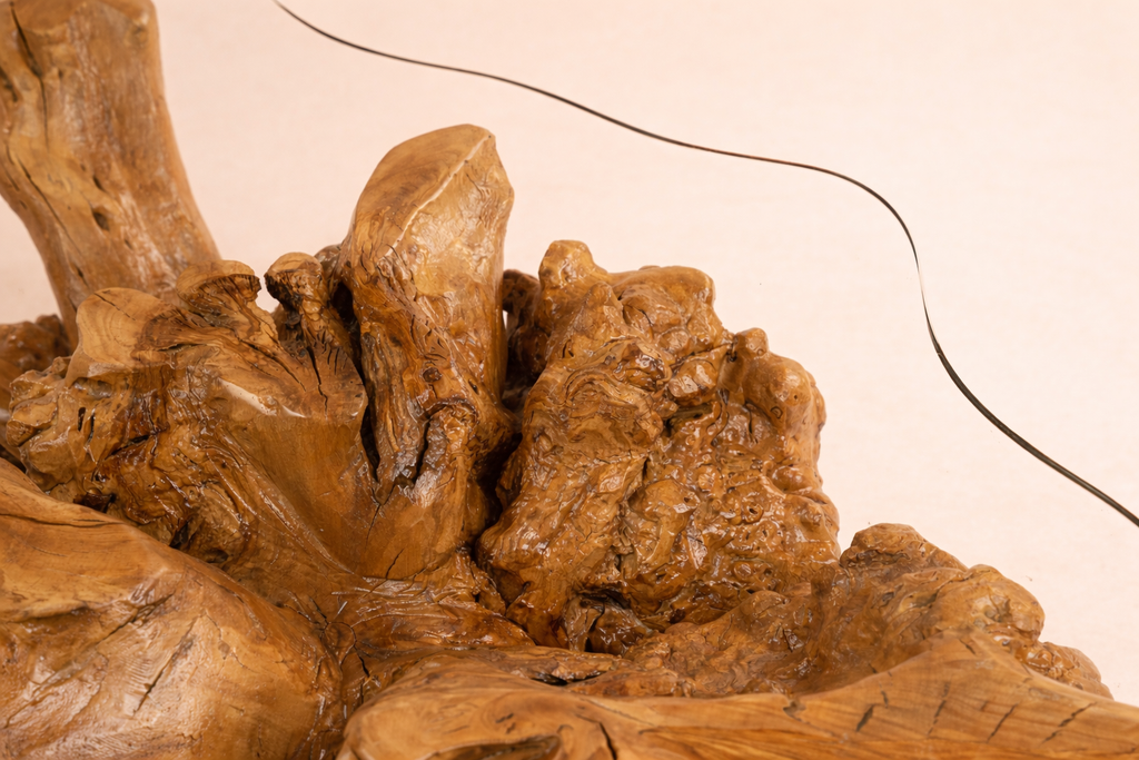Madagascar Root Table