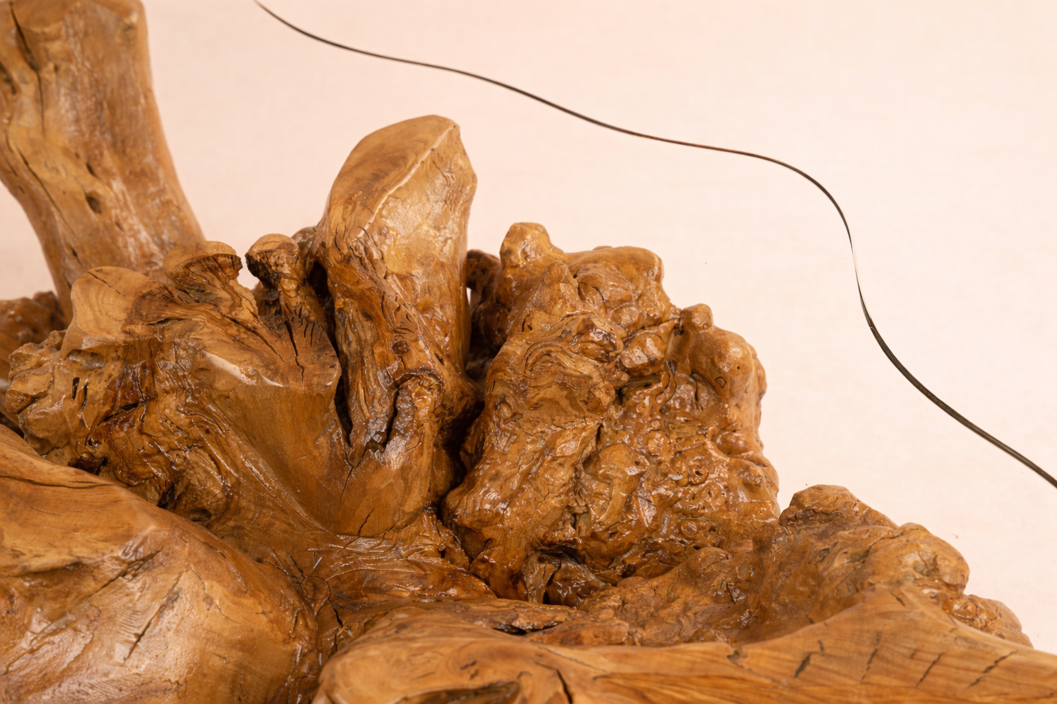 Madagascar Root Table